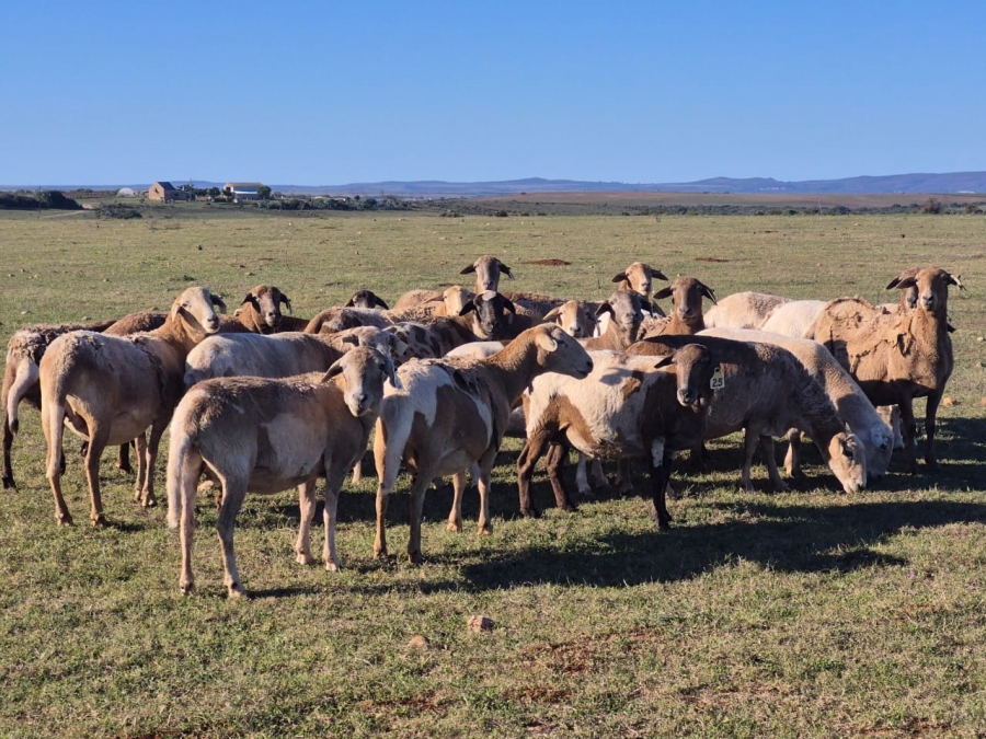 Commercial Property for Sale in Gouritsmond Rural Western Cape
